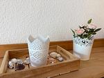 Wohnzimmer - FeWo A3.1 - Top-Hundeurlaub