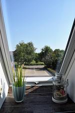 Gartenblick - Ferienwohnung Vadders Hof Risum-Lindholm - Top-Hundeurlaub