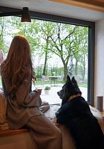 Ferienhaus AugenWeite - Top-Hundeurlaub