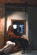 Ferienhaus Guck in den Stall - Top-Hundeurlaub