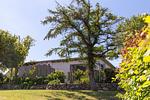 Außenansicht eines Hauses mit Garten - Haus Anna Atelier - Top-Hundeurlaub