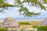 Strandblick zwischen Bäumen und Blumen - Haus Anna Atelier - Top-Hundeurlaub