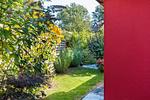 Gartenansicht mit bunten Pflanzen und Gehweg - Kleine Rotbuche - Top-Hundeurlaub