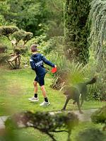 Ferienhaus TauberRefugium - Top-Hundeurlaub