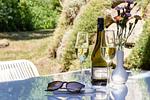 Terrasse mit Weingläsern und Blumenvase - Hoop - Top-Hundeurlaub