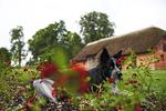 Herzoglicher Forsthof Stolpe - Top-Hundeurlaub