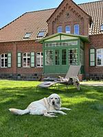 Herzoglicher Forsthof Stolpe - Top-Hundeurlaub