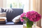 Einladendes Wohnzimmer mit Sofa und Blumen - Künstlerhaus Rosenthal 02 - Top-Hundeurlaub