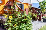Terrasse mit Blumen und Sonnenschirm - Sonnenblumenhaus 01 - Top-Hundeurlaub
