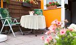 Terrasse - Sonnenblumenhaus 01 - Top-Hundeurlaub