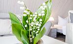 Wohnzimmer mit blühendem Pflanzenarrangement - Sonnenblumenhaus 02 - Top-Hundeurlaub