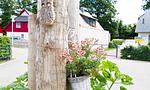 Holzpflanzgefäß mit blühenden Blumen - Sonnenblumenhaus 02 - Top-Hundeurlaub