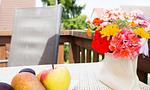 Terrasse mit Obst und Blumen - Sonnenblumenhaus 02 - Top-Hundeurlaub