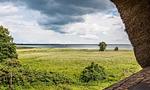 Landschaft - Haus am Bodden 02 - Top-Hundeurlaub