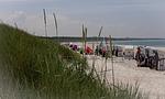 Strand - Blue Sky - Top-Hundeurlaub