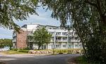 Hauptansicht - Blue Sky - Top-Hundeurlaub