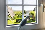 Ausblick auf den Bodden - An der Boddenweide - Top-Hundeurlaub