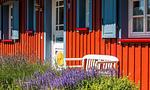 Terrasse mit Stuhl und Lavendel - Klönhus - Top-Hundeurlaub