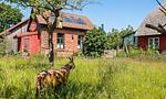 Außenansicht eines roten Fachwerkhauses mit Garten - Alte Tischlerei 02 - Top-Hundeurlaub