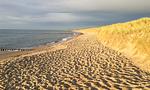 Sandstrand mit sanften Dünen - Strandidyll - Top-Hundeurlaub