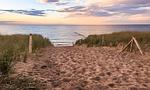 Zugang zum Strand mit Sandweg und Gras - Strandidyll - Top-Hundeurlaub