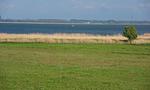 Blick auf den Strand mit Gras und Wasser - Boddenzauber 02 - Top-Hundeurlaub