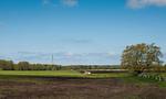 Weite Landschaft mit Bäumen und blauem Himmel - Boddensegler - Top-Hundeurlaub