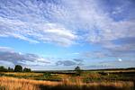 Weite Landschaft mit Wolken und Wiesen - Wiesenidyll - Top-Hundeurlaub