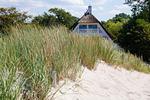 Strandhaus umgeben von hohen Gräsern - Strandhaus Claassen 10 - Top-Hundeurlaub