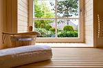 Sauna mit Holzregalen und Aussicht - Pur A4 - Top-Hundeurlaub
