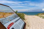 Strand - Muschel 2 - Top-Hundeurlaub