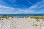 Strand - Muschel 2 - Top-Hundeurlaub