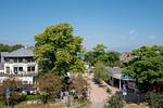 Luftaufnahme einer Straße mit Bäumen - Strandläufer 03 - Top-Hundeurlaub