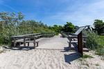Strandläufer 02 - Top-Hundeurlaub