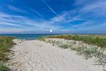 Strandläufer 02 - Top-Hundeurlaub