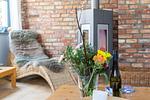 Livingroom mit Sessel und Blumen - Strandhaus Wustrow - Wohnung 2 - Top-Hundeurlaub