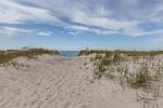 Blick auf den Strand mit Sandweg und Gras - Strandhaus Wustrow - Wohnung 2 - Top-Hundeurlaub