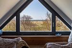 Aussicht auf die Dünen und das Meer - Strandhaus Wustrow - Wohnung 3 - Top-Hundeurlaub
