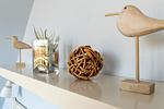 Dekorative Elemente auf einem Regal - Strandhaus Wustrow - Wohnung 3 - Top-Hundeurlaub