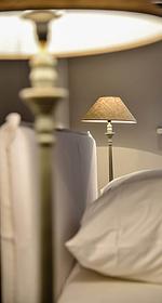 Monkey Island - Top-Hundeurlaub