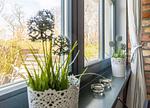 Dekoratives Detail - Strandhaus Wustrow - Wohnung 1 - Top-Hundeurlaub