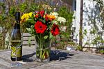 Bunte Terrasse mit Blumen und Wein - Strandhaus Wustrow - Wohnung 4 - Top-Hundeurlaub