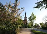 Blick auf eine Straße mit Kirche und Bäumen - Haus Seefeuer 03 - Top-Hundeurlaub