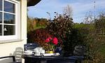 Terrasse mit Tisch und Blumen - Am Paetowhof 3.4 - Top-Hundeurlaub