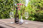 Terrasse mit Holz-Tisch, Wein und Blumen - Binnendieck - Top-Hundeurlaub