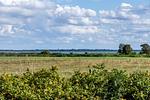 Wiesenlandschaft mit Wasserblick - Boddenzauber 01 - Top-Hundeurlaub