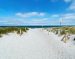 Sandweg zum Strand - Madlen - Top-Hundeurlaub