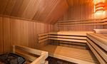 Sauna mit Holzverkleidung und Bänken - Wind & Segel - Top-Hundeurlaub