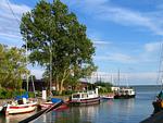 Hafenansicht mit Booten und Bäumen - Haus Ostseenixe 02 - Top-Hundeurlaub