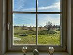 Blick aus dem Fenster auf eine grüne Wiese - Wieckend - Top-Hundeurlaub